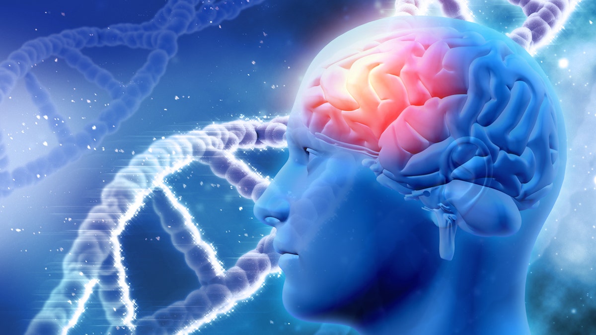 Genetics of brain DNA