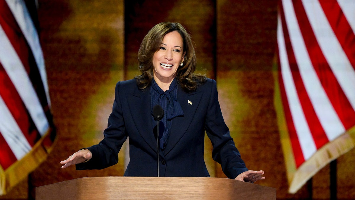 Kamala Harris takes the stage on the 4th of the Democratic National Convention