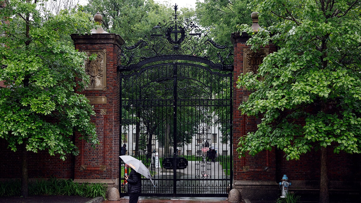Harvard rain day
