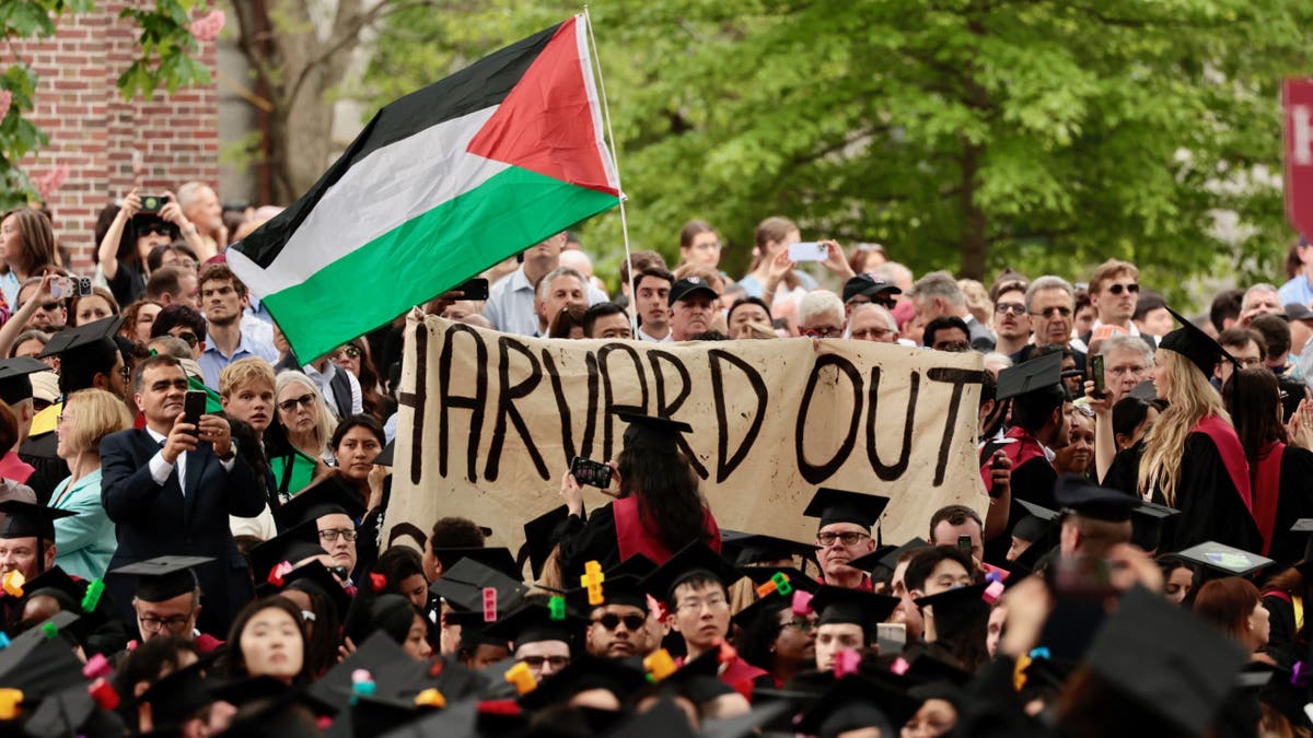 Harvard Graduation Anti Israel Protest