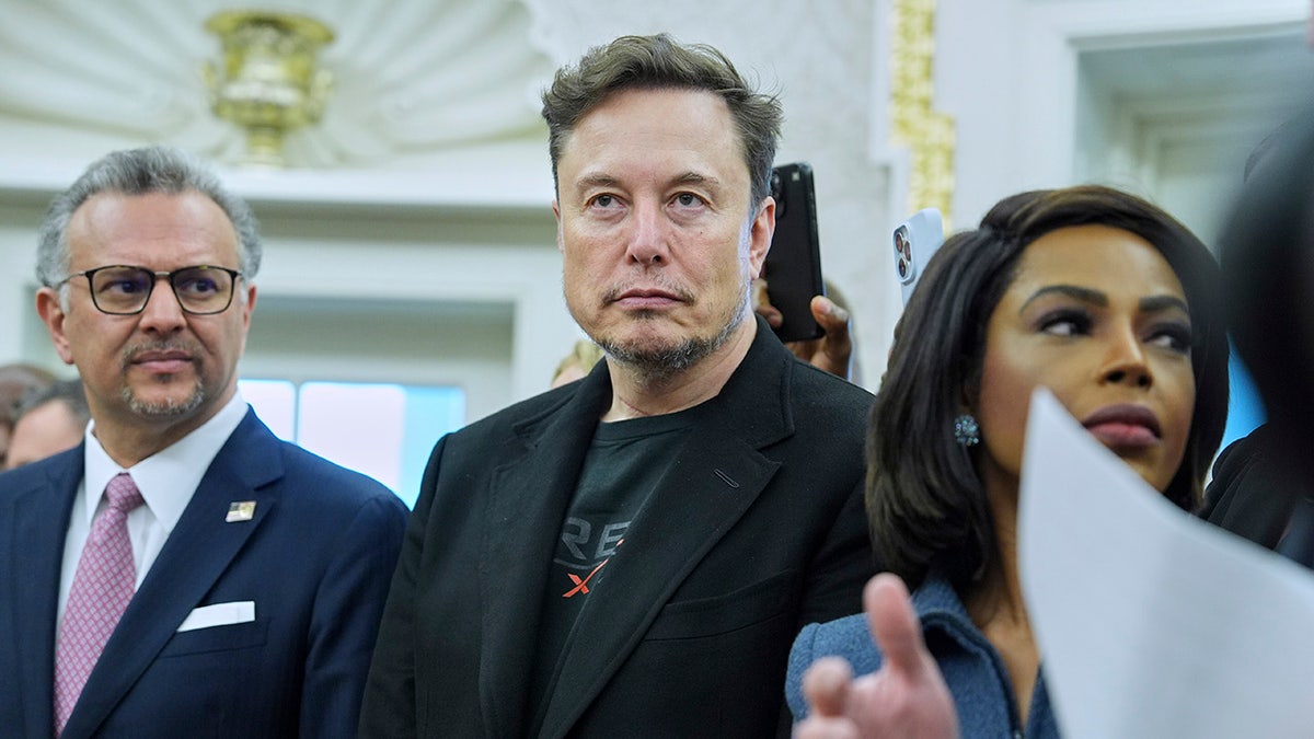 Elon Musk in the White House