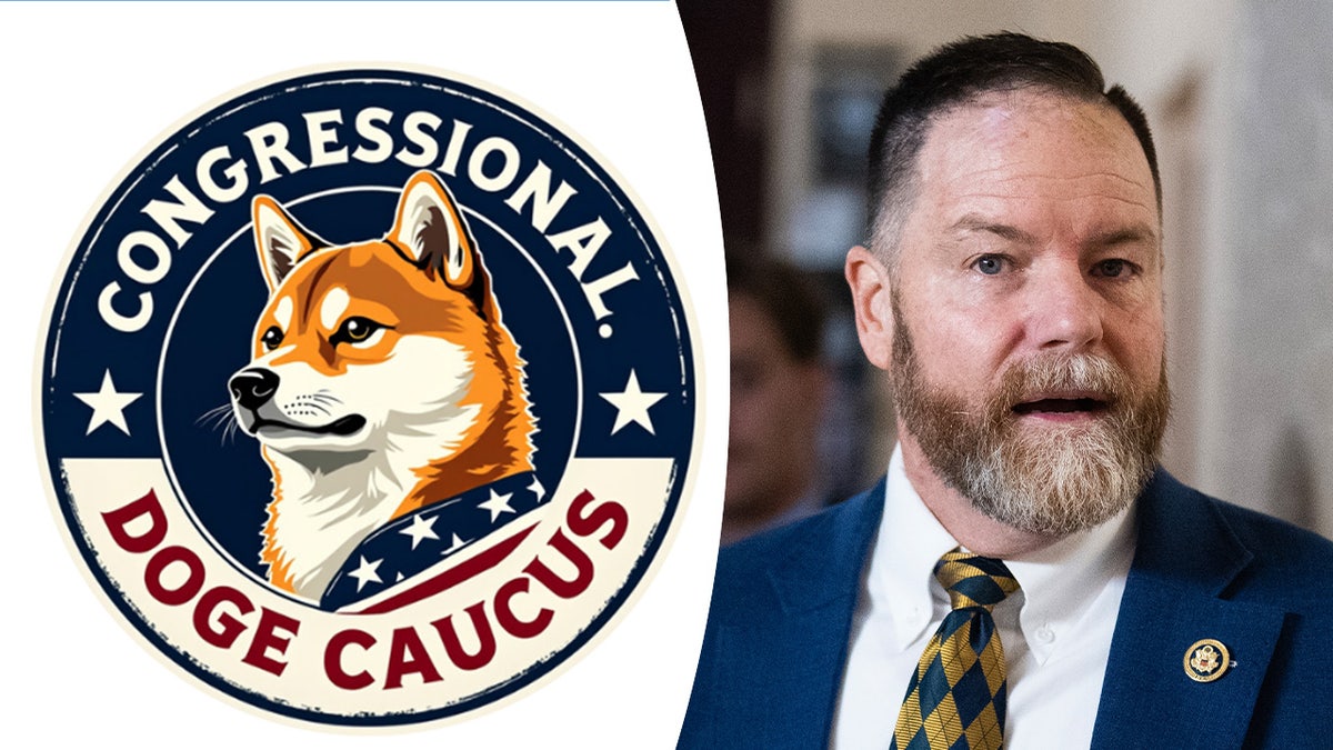 DOGE Caucus logo, Rep. Aaron Bean Split