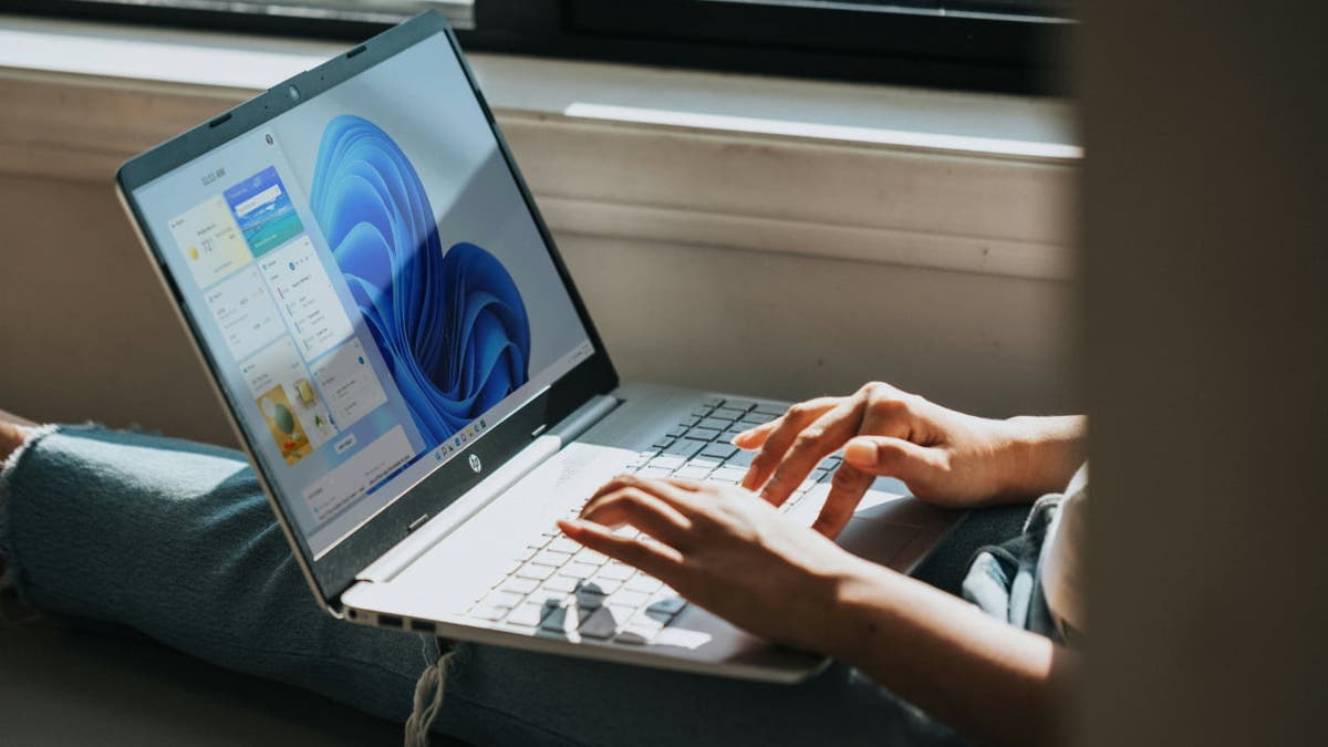Person who writes in the laptop