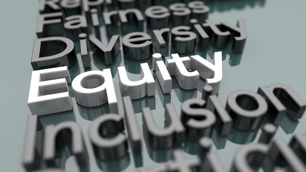 Critical theory of the Diversity Race Inclusion