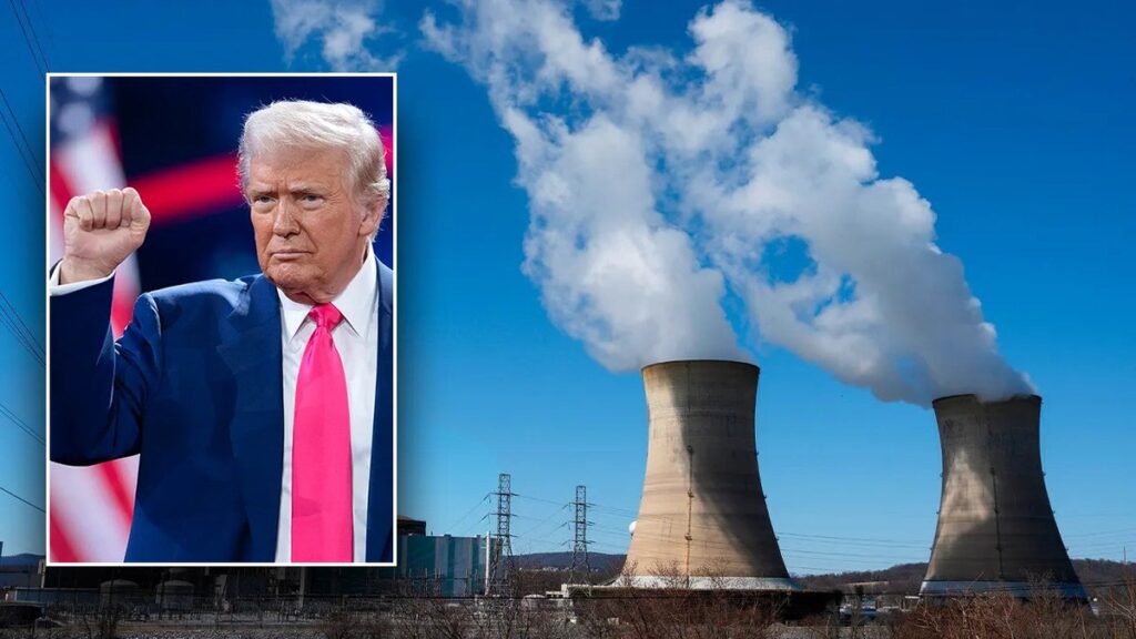 The Florida Republican Bill would make Trump's orders permanent for the "domination" of the United States in the key industry